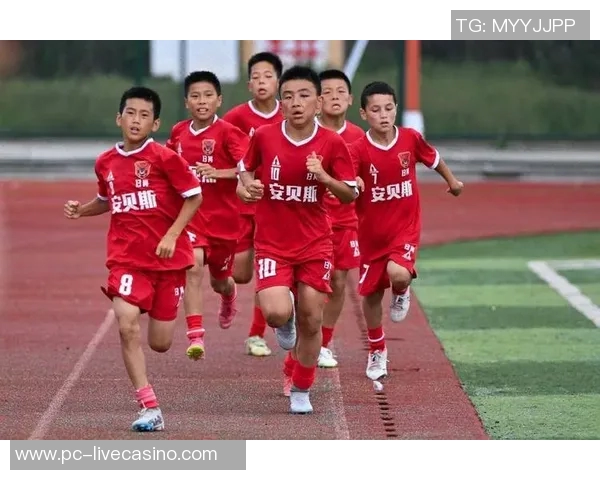 足球职业联赛的魅力与挑战探索球员成长与球队竞争的多元化发展之路